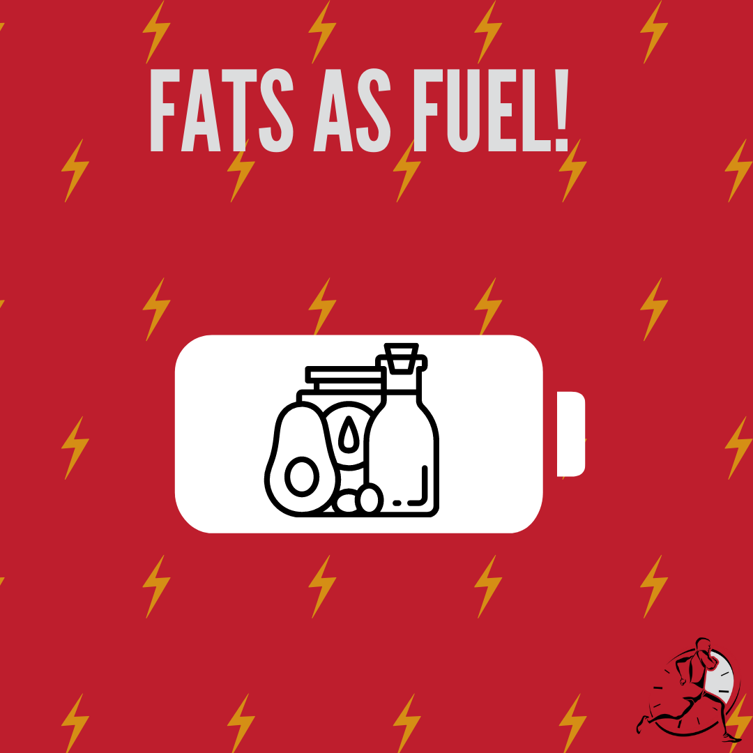 fat-is-the-body-s-most-abundant-fuel-source-4cyclerunner